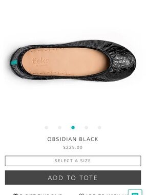 Tieks Ballet Flat size 8